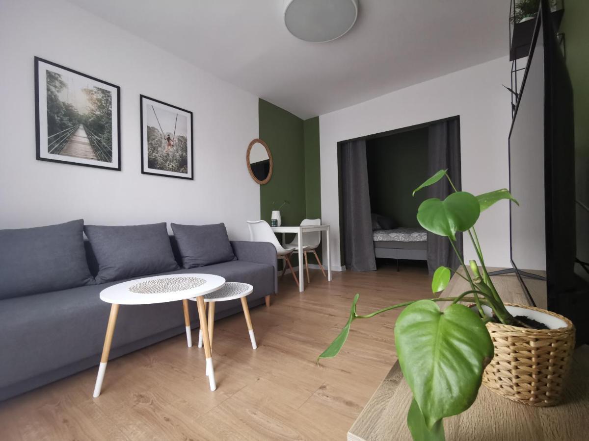Апартаменты Apartament Skalka Свентохловице Экстерьер фото